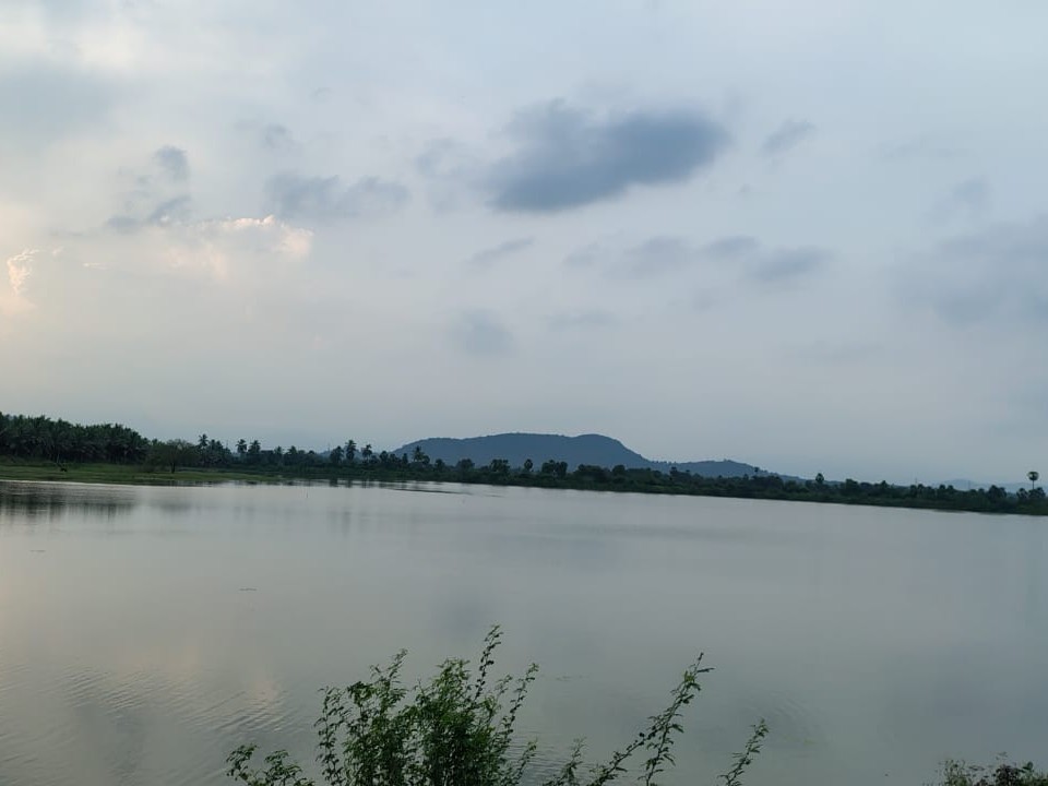 నీటితో కళకళలాడుతున్న చెరువులు