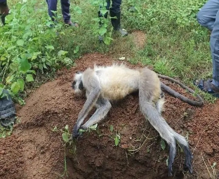 మానవత్వం చాటుకున్న యువకులు