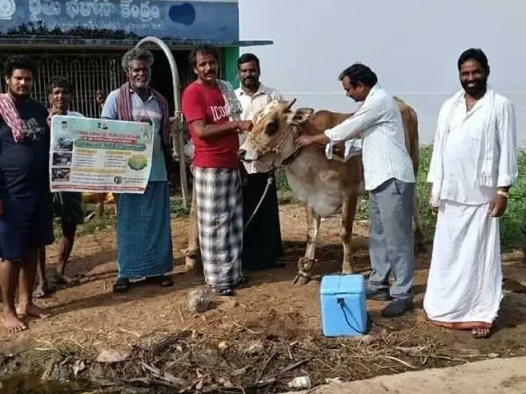 ‘పశువులను వ్యాధులు భారీ నుంచి రక్షించాలి’