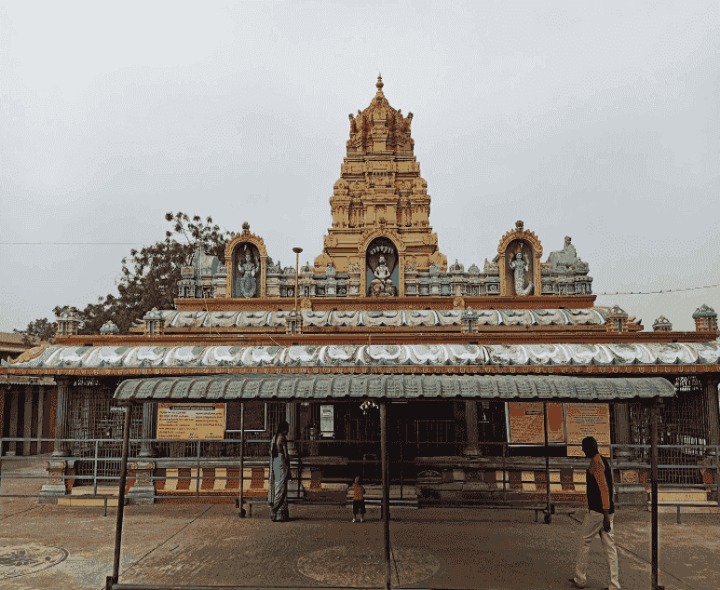 మిట్టపాలెం నారాయణస్వామి ఆదాయం వివరాలు