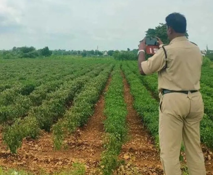 మిర్చి పంటపై గడ్డి మందు కొట్టారని ఫిర్యాదు