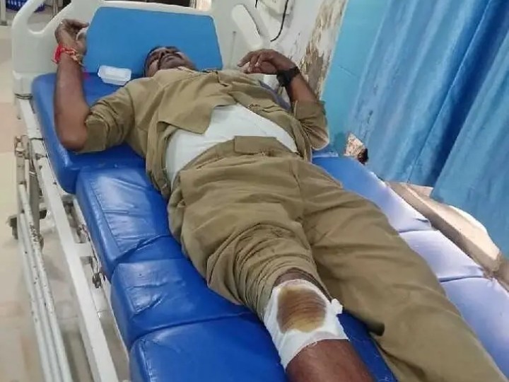 కుక్కలు ఢీ.. ఆర్టీసీ డ్రైవర్‌కు గాయాలు