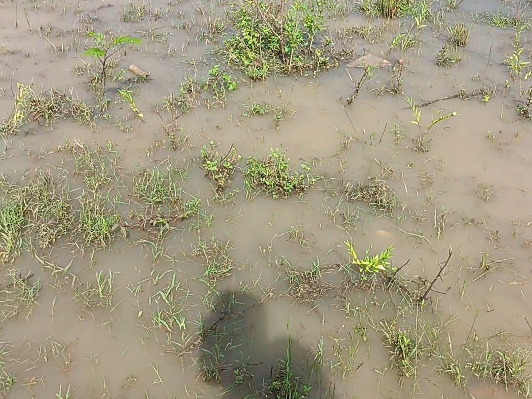 వరద నీరు పోయే దారేది?