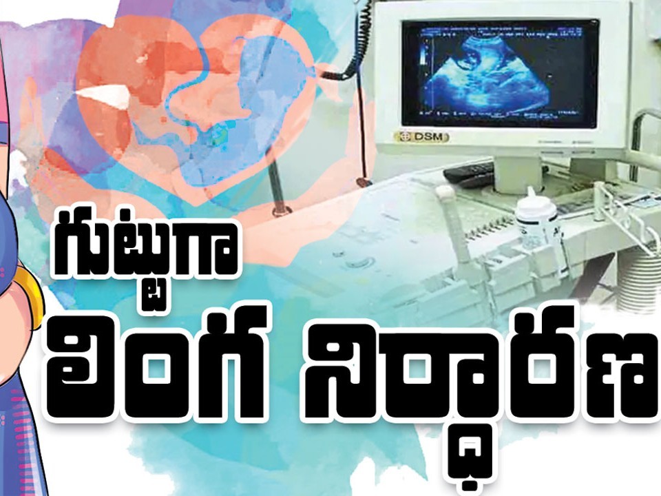 లింగ నిర్ధారణ పరీక్షలు చేస్తున్న వ్యక్తుల అరెస్ట్