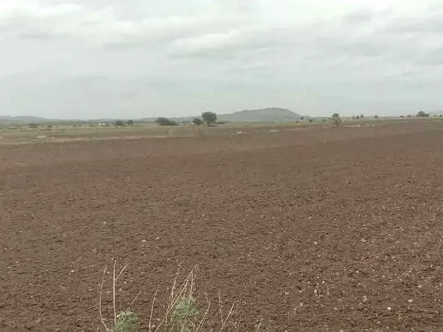 పులివెందులకు 7, 900 క్వింటాళ్ల విత్తనాల మంజూరు