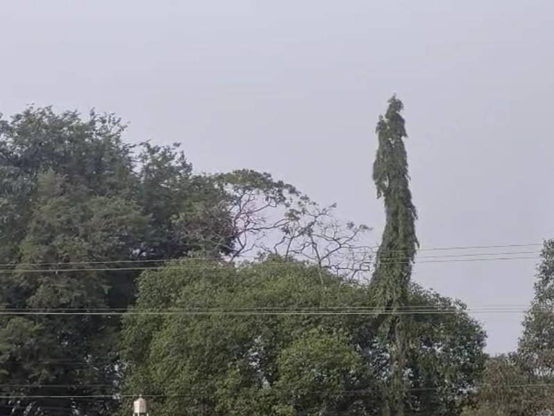 బుచ్చి లో ఉరుములతో కూడిన వర్షం