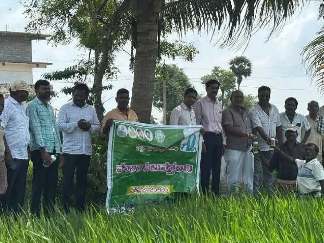 రసాయినిక ఎరువులు వాడకం తగ్గించాలి: AD