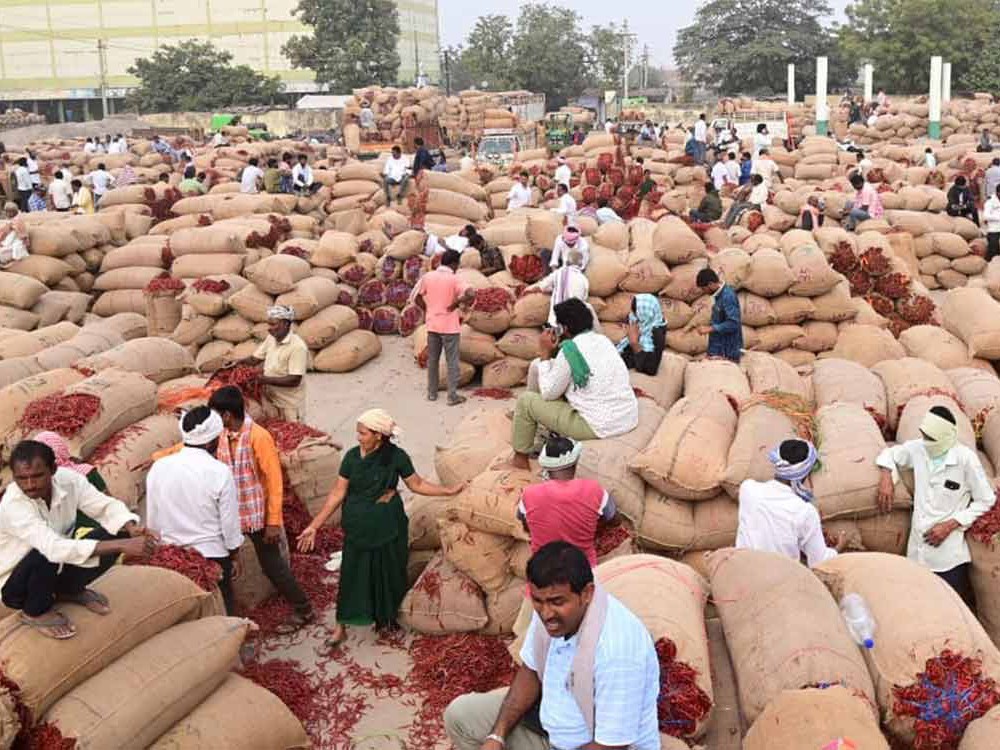 మిర్చి యార్డులోనే ఇకపై కొనుగోళ్లు