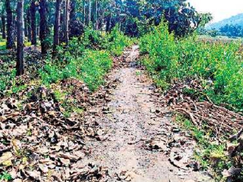 రోడ్డేసే నాథుడే లేడు..?