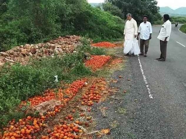 ‘టమాటా రైతులకు గిట్టుబాటు ధర కల్పించాలి’