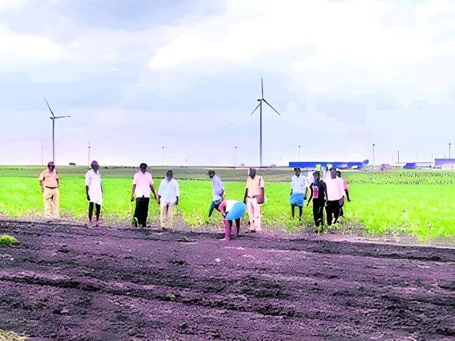 పంట పొలాల్లో చిరుతపులి సంచారం