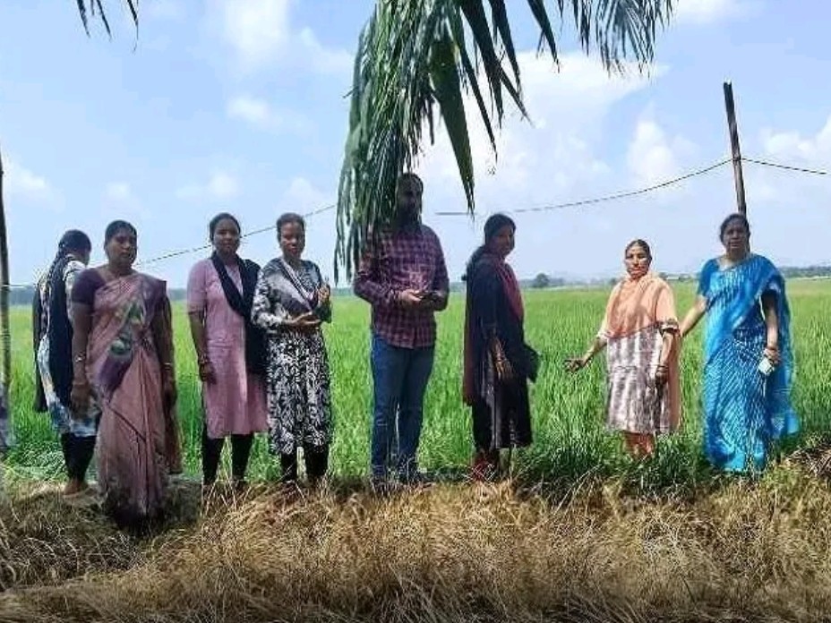 గోకవరంలో ఈ క్రాప్ నమోదు కార్యక్రమం