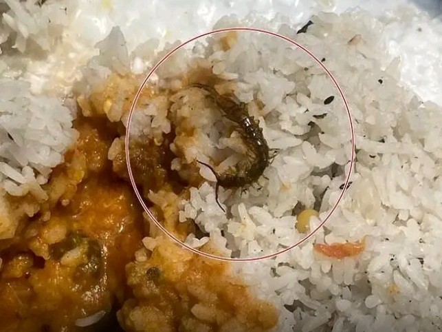 ప్రభుత్వ స్కూల్ మధ్యాహ్న భోజనంలో జెర్రీ