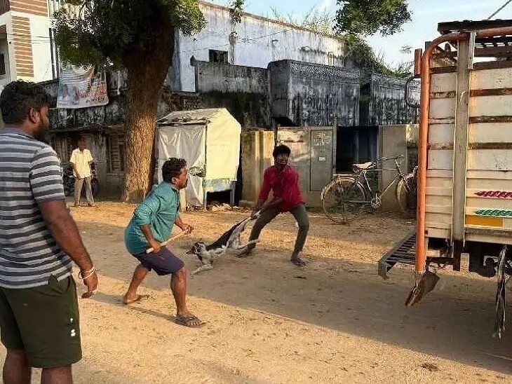 కుక్కల బెడద నివారణకు చర్యలు