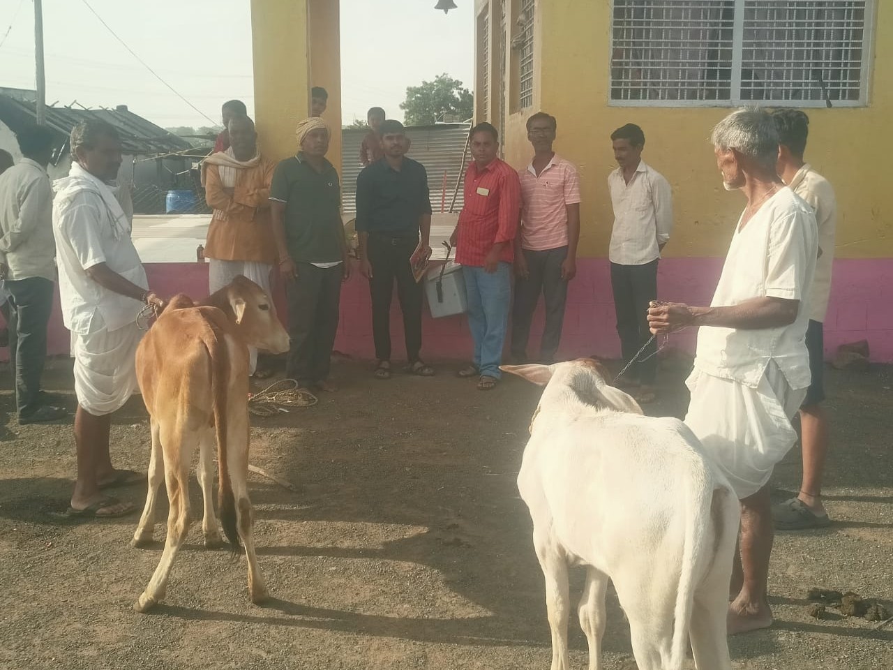 ‘పశువులకు లాంప్ స్కిన్ వ్యాక్సిన్ తప్పనిసరి’
