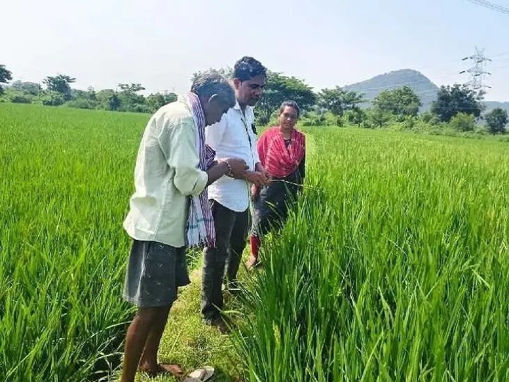 ‘ప్రతి గ్రామంలో విత్తన ఉత్పత్తి క్షేత్రాల ఏర్పాటు’