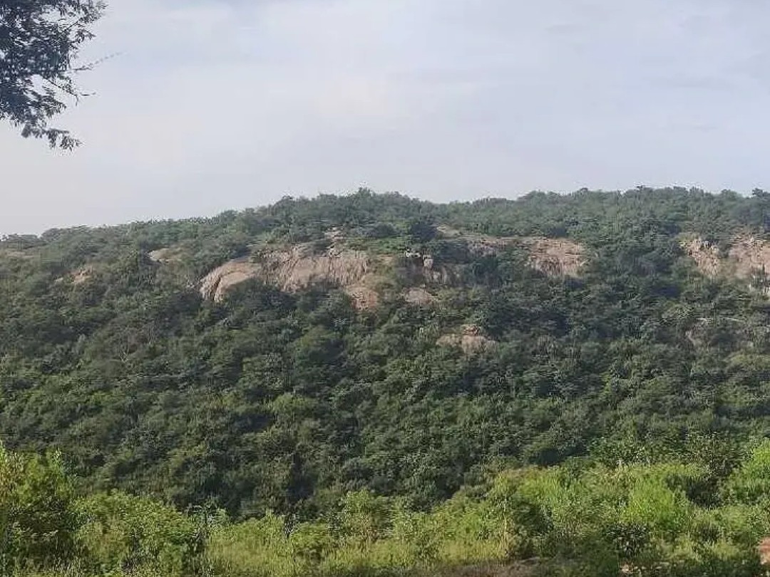రాచకొండ గుట్టలను పర్యాటక హబ్ గా తీర్చిదిద్దండి