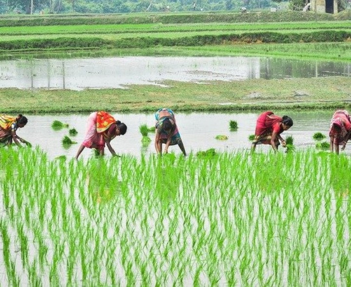 PMDDKY పథకానికి జిల్లా ఎంపిక