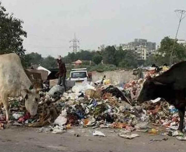 ప్రొద్దుటూరు వీధుల్లో స్థానికుల ఇబ్బందులు