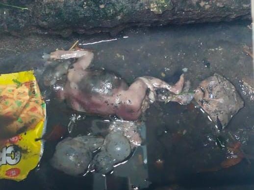 కాలువలో నెలలు నిండని శిశువు మృతదేహం లభ్యం