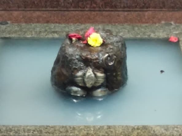 నీలకంఠేశ్వర స్వామికి ప్రత్యేక జల పాలాభిషేకం
