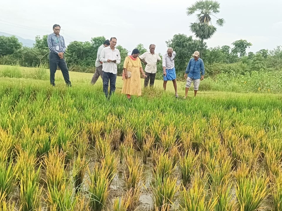 ‘పంట సాగులో వ్యవసాయ అధికారుల సూచనలు తీసుకోవాలి’