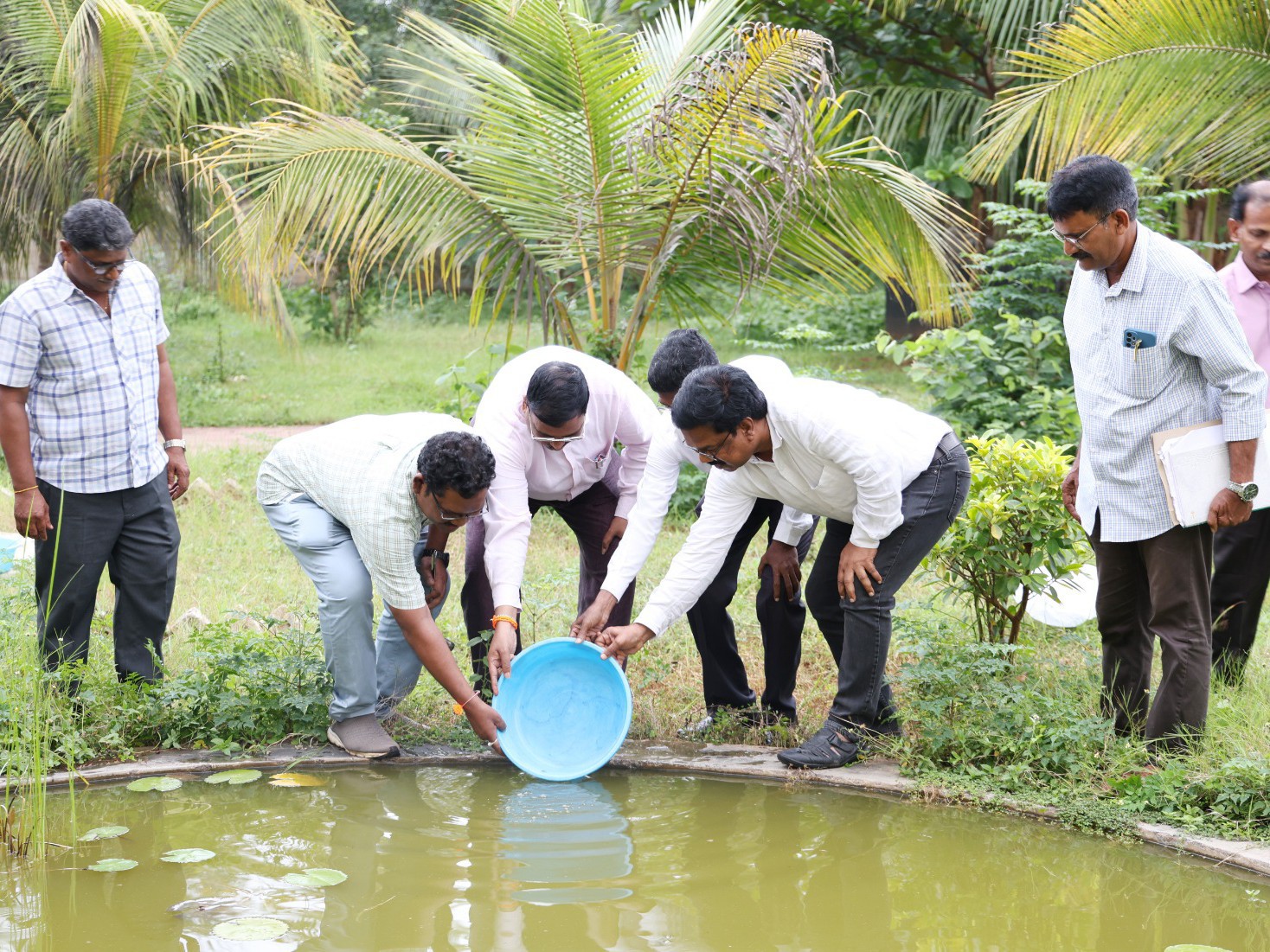 దోమలు నియంత్రణకు గుంబూషియా చేపలు