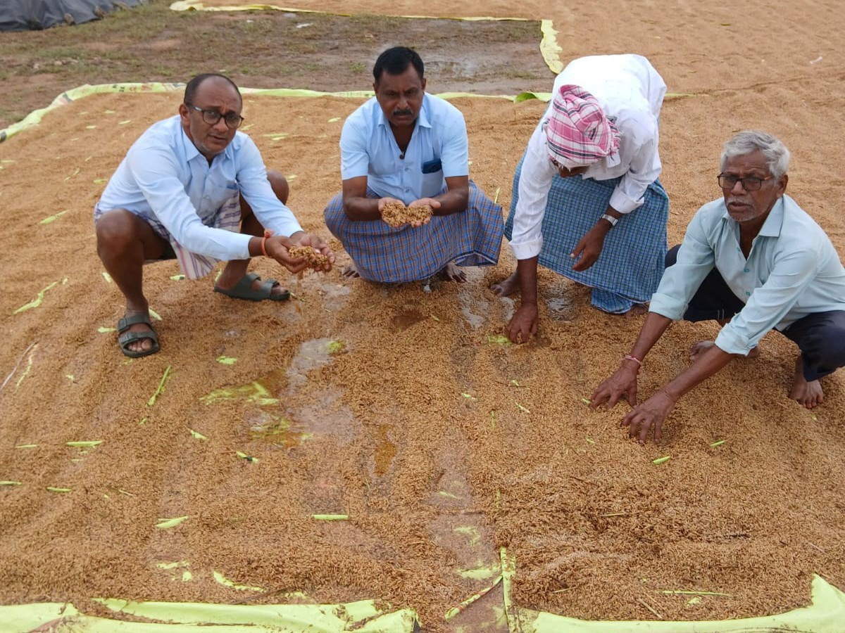 కొనుగోలు కేంద్రంలో తడిసిన ధాన్యం