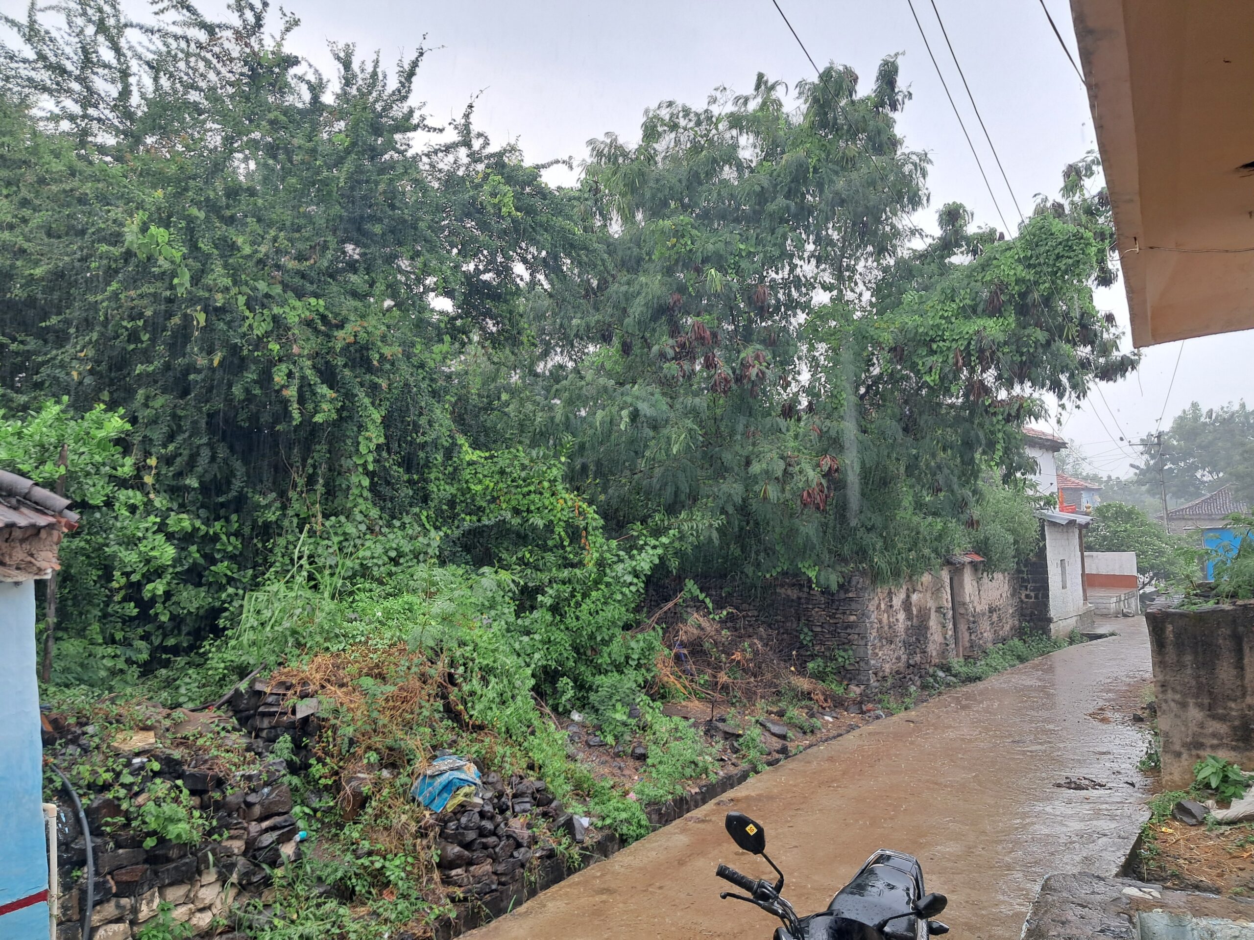 కంగ్టిలో చిరుజల్లులతో కూడిన వర్షం