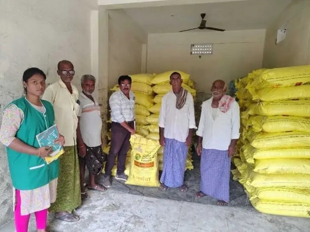 జరుగుమల్లి అందుబాటులో 185 టన్నుల యూరియా.!