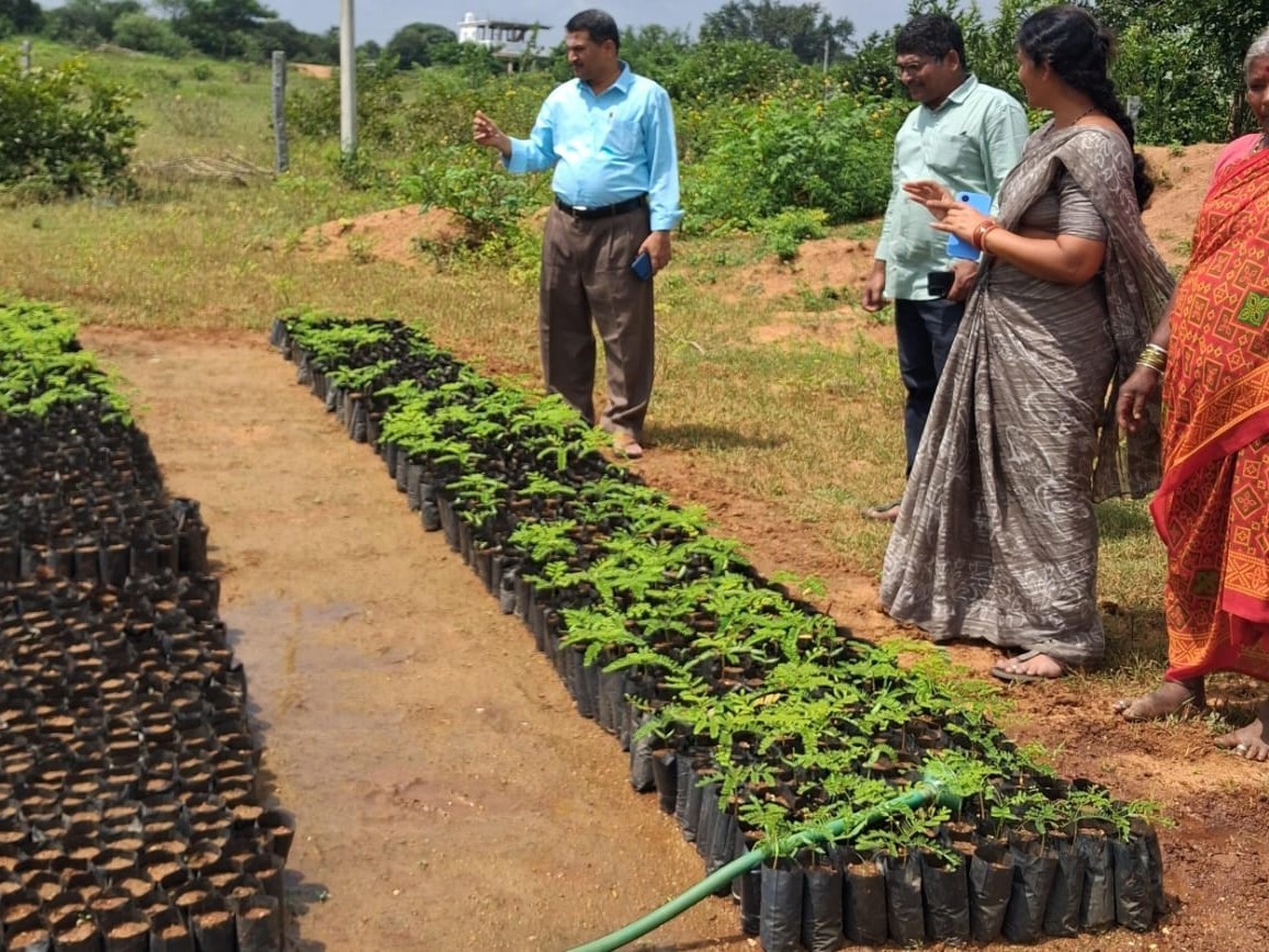 నర్సరీని సందర్శించిన ఎంపీడీవో