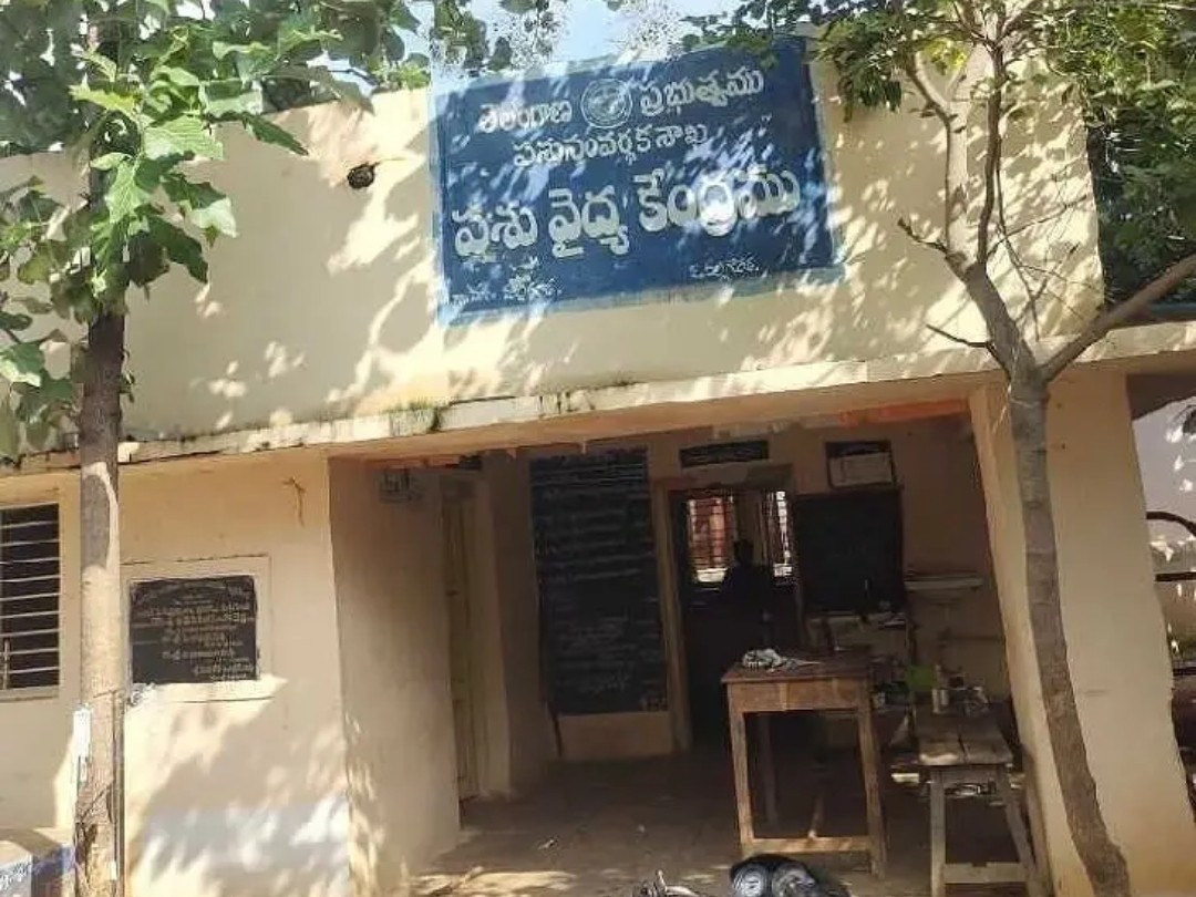 నేటి నుంచి గాలికుంటు నివారణ టీకాలు