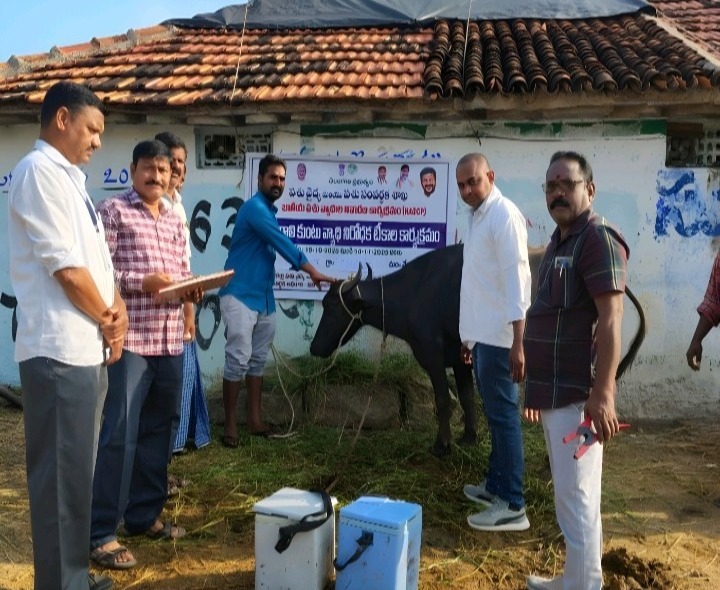ఉచిత పశువుల టీకా కార్యక్రమం
