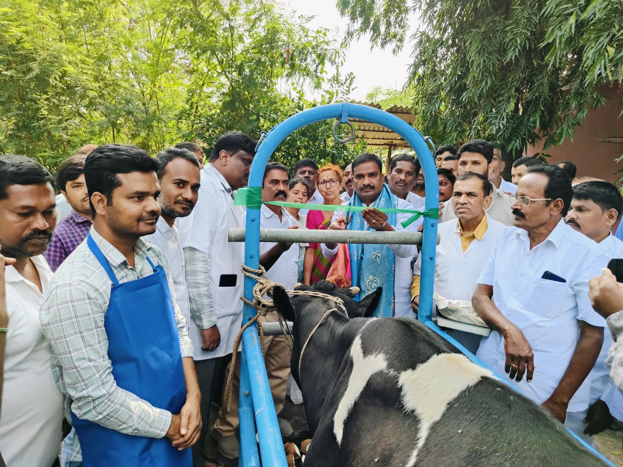 గాలి కుంటు టీకా కార్యక్రమాన్ని ప్రారంభించిన ఎమ్మెల్యే