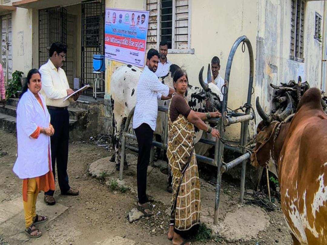 ‘ఒక్క పశువును కూడా మరవకుండా వ్యాక్సిన్ ఇవ్వాలి’