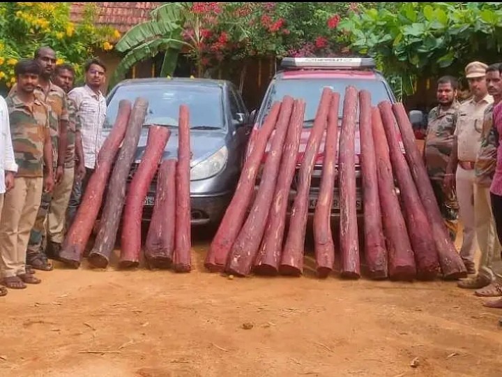 భాకరాపేట అడవిలో ఎర్రచందనం పట్టివేత