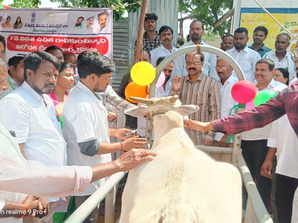 ‘పశువులకు గాలికుంటు వ్యాధి టీకాలు వేయించాలి’