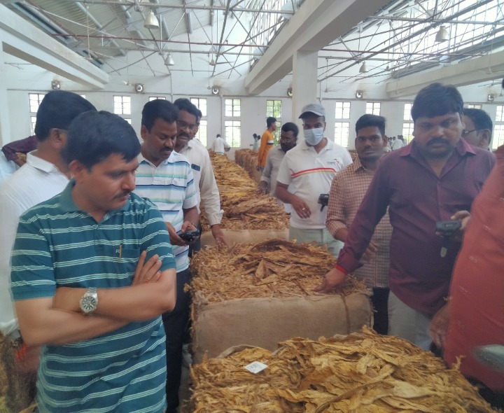 పొగాకు వేలం కేంద్రంలో 442 బేళ్ల తిరస్కరణ