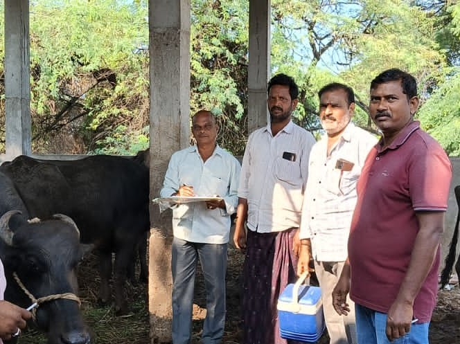 ‘అధిక పాల దిగుబడికి మేలు జాతి పశువులతోనే సాధ్యం’