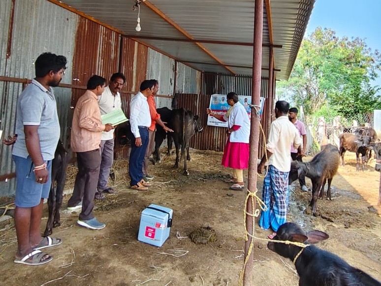 పశు వైద్య శిబిరాలు పరిశీలించిన జిల్లా అధికారి