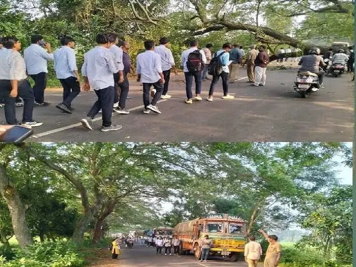 రోడ్డుకు అడ్డుగా కూలిన చెట్టు.. నిలిచిన ట్రాఫిక్
