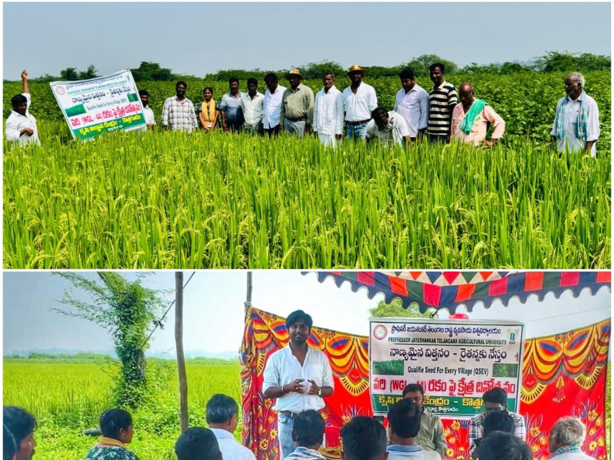 క్వాలిటీ సీడ్ ఫర్ విలేజ్ కార్యక్రమ నిర్వహణ