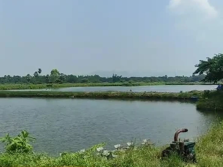చెరువులో కోళ్ల వ్యర్ధాలు