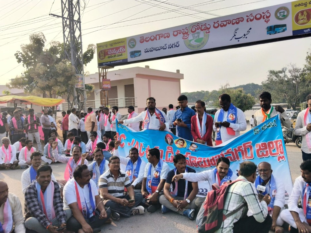 ‘బీసీ బిల్లును అమలు చేయాలి’