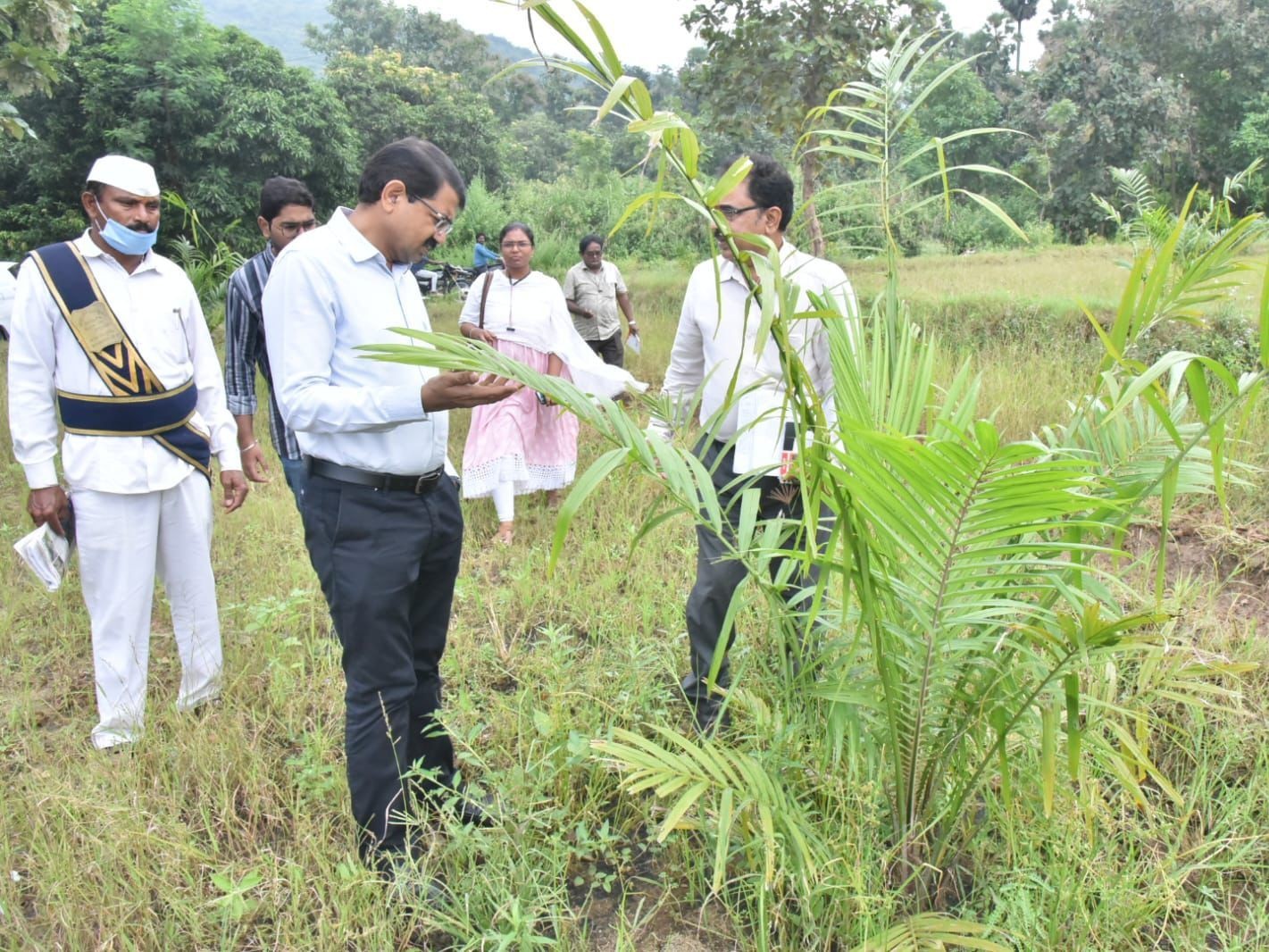 ‘ఆయిల్ పామ్ సాగు లాభదాయకం’