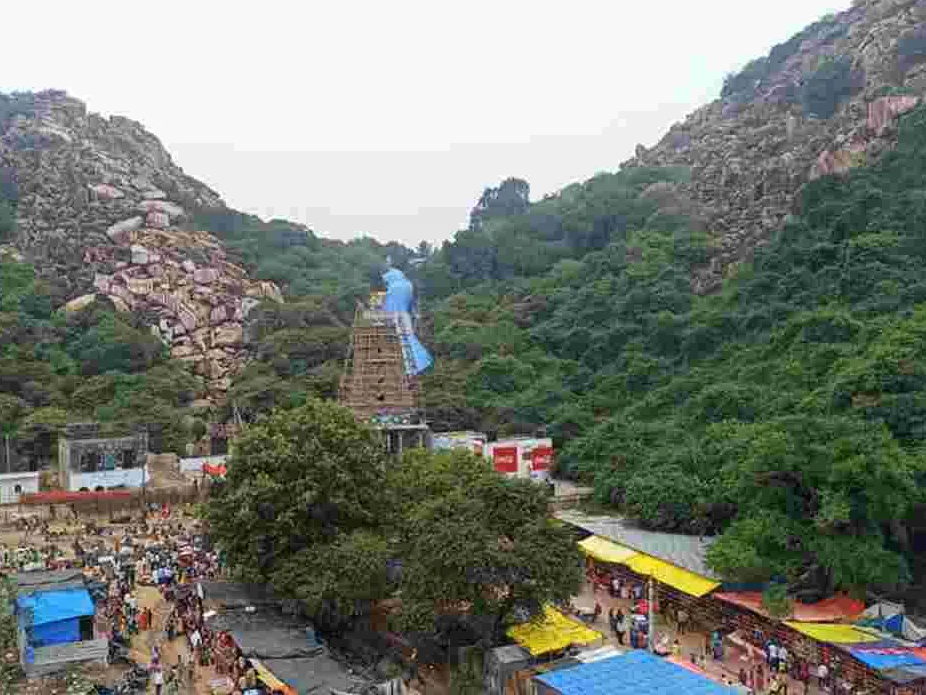 కురుమూర్తి బ్రహ్మోత్సవాలకు సర్వం సిద్ధం
