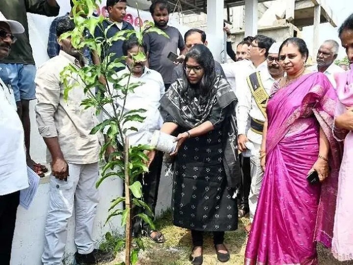 నడింపల్లిలో మొక్కను నాటిన కలెక్టర్
