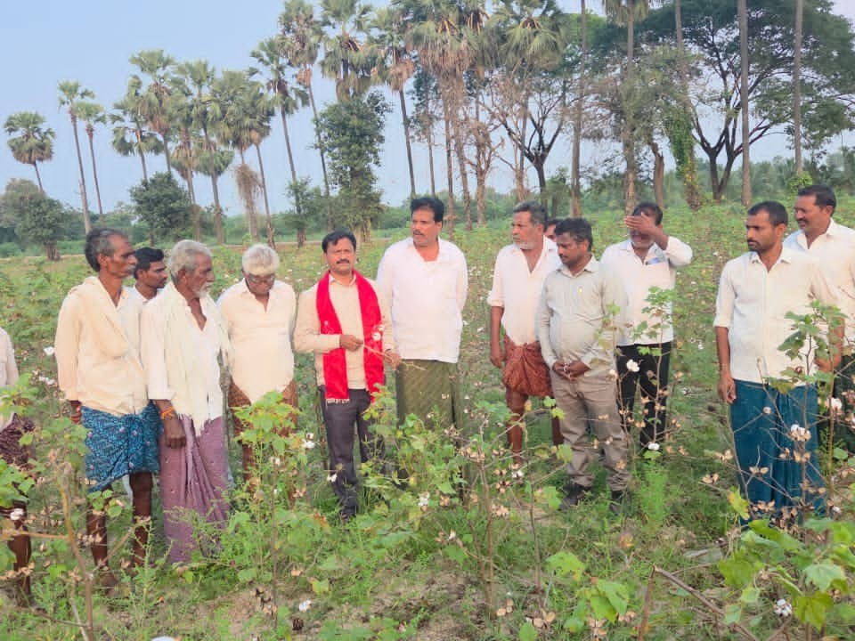 పత్తి రైతులను ప్రభుత్వం ఆదుకోవాలి: సీపీఎం