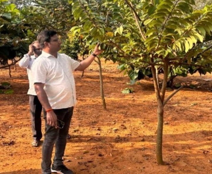 తోటల నిర్వహణ విధానాలను సమీక్షించిన సీవీవో