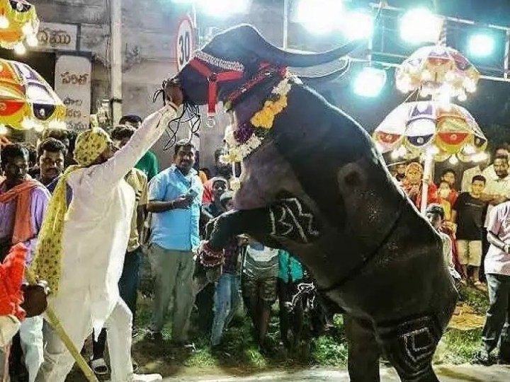 రేపు ఖైరతాబాద్‌లో సదరోత్సాహం
